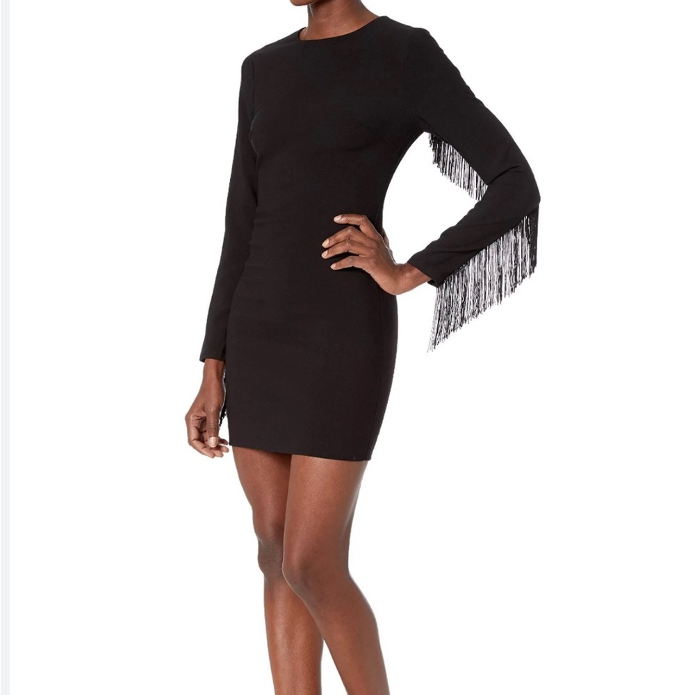Likely "Quinley" cocktail dress with tonal fringe. Crew neckline.